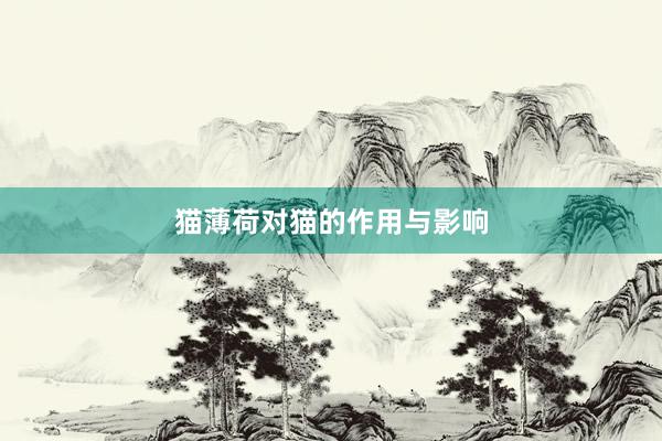 猫薄荷对猫的作用与影响